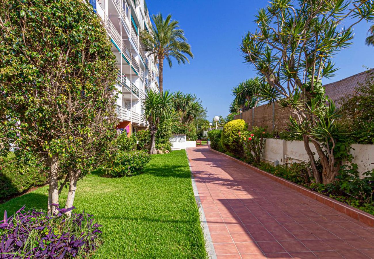 Estudio en Benalmádena - MARKUS - Moderno, céntrico y espacioso estudio