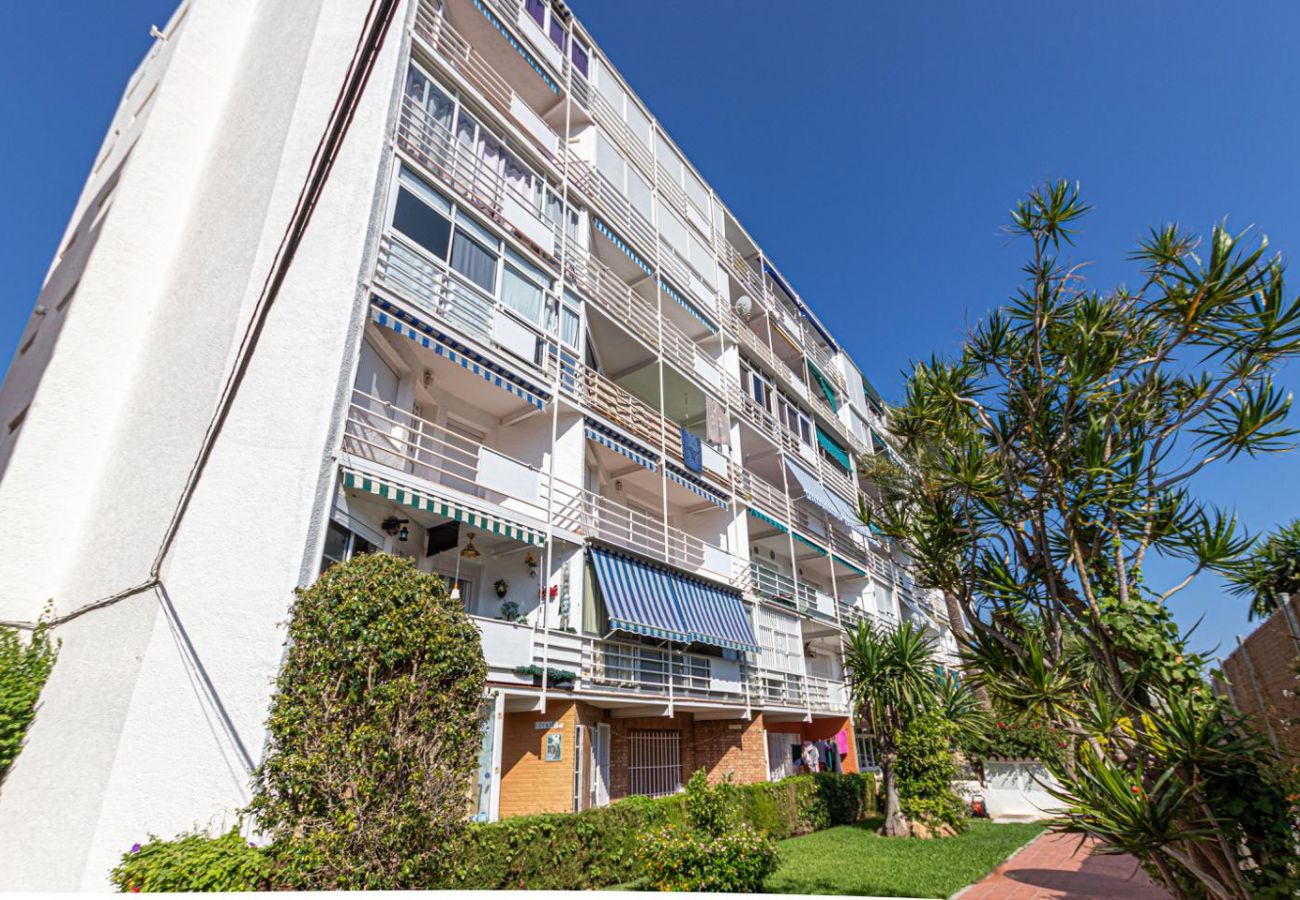 Estudio en Benalmádena - MARKUS - Moderno, céntrico y espacioso estudio