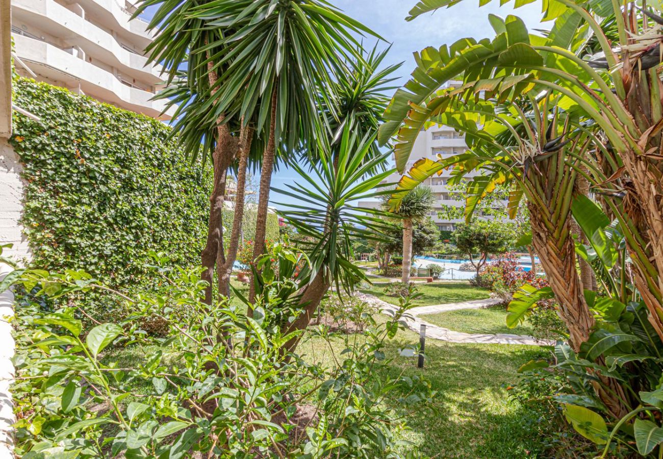 Apartamento en Benalmádena - JANET · Spacious apartment in Benalmadena