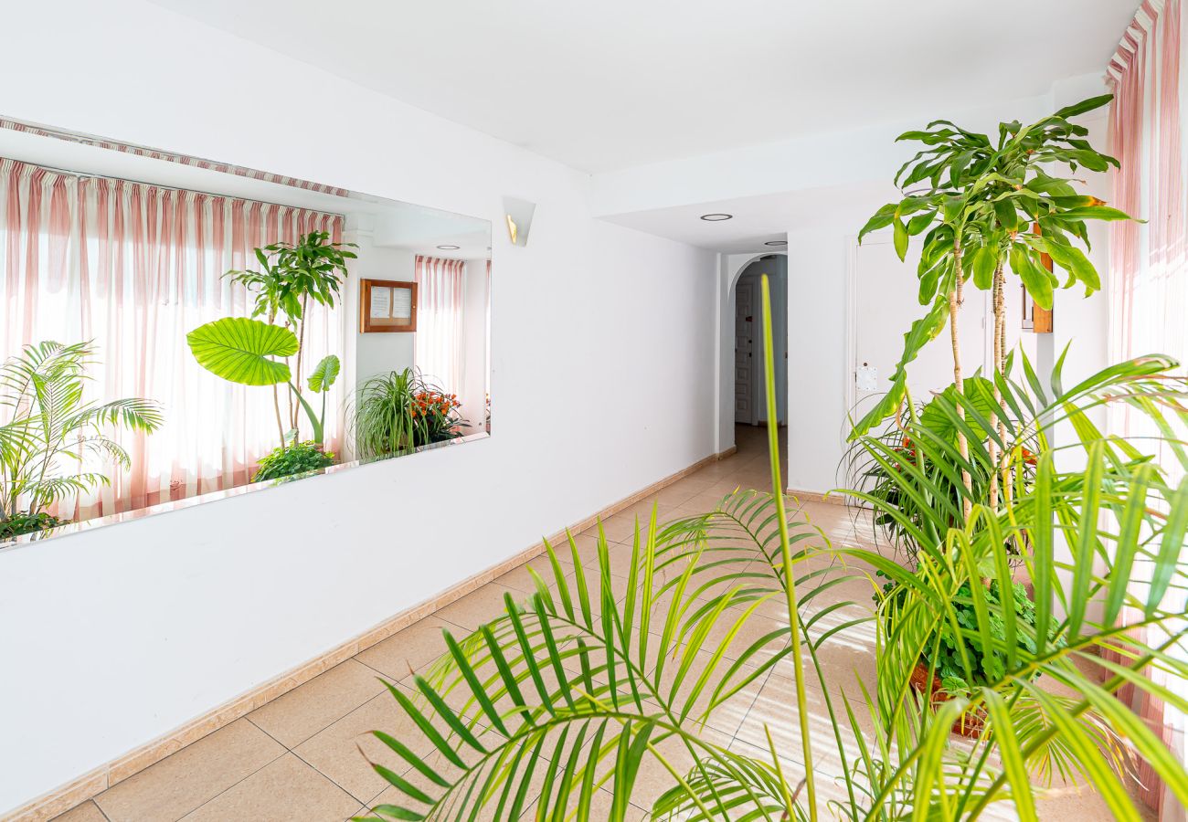 Estudio en Benalmádena - Estudio Benalmádena cerca de la Playa y Puerto Marina 
