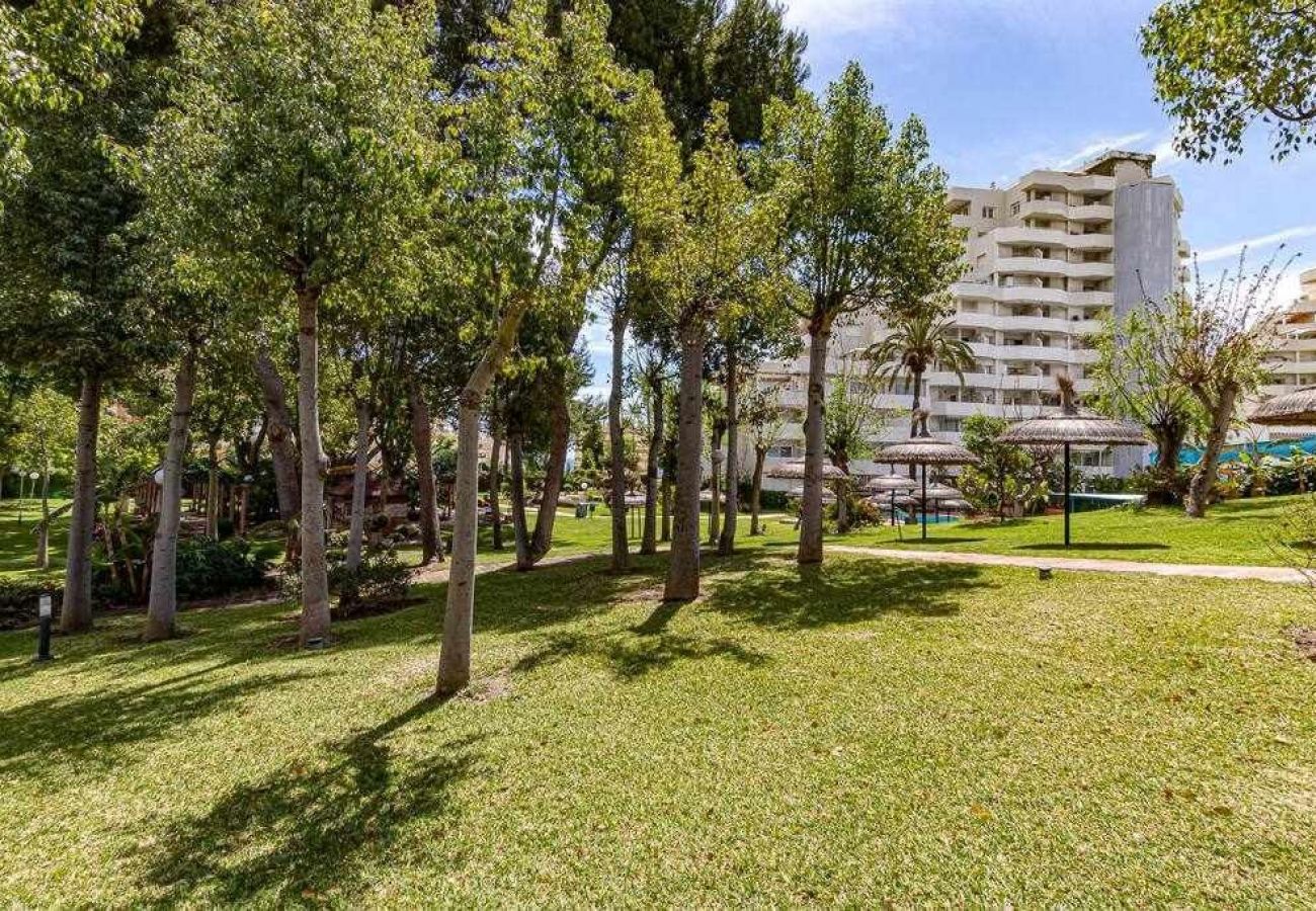 Apartment in Benalmádena - Flat in Benalbeach with sea view and swimming pool 