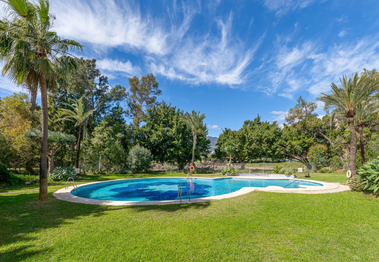 Studio in Benalmádena - Cozy studio with garden views 